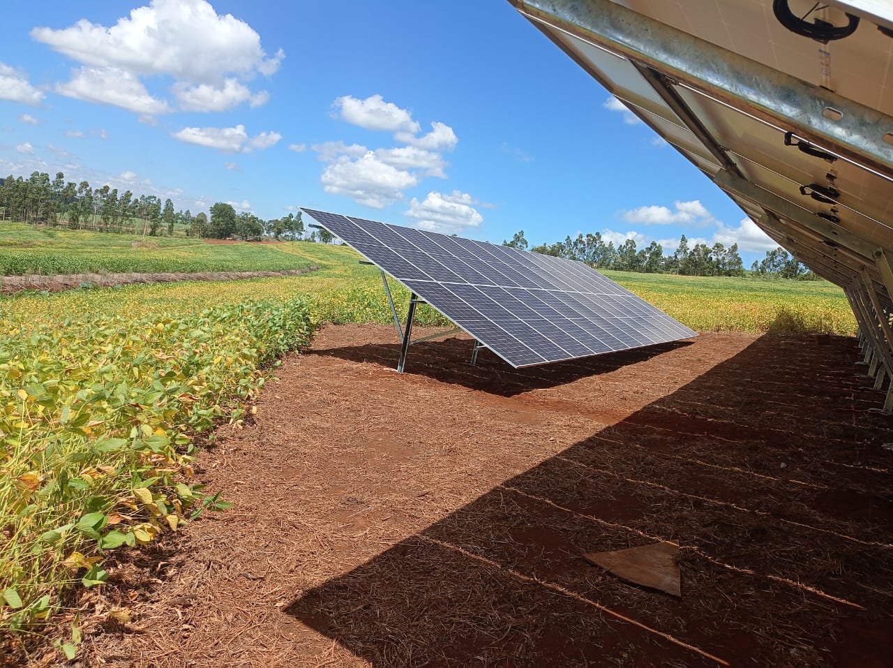Solução para Agronegócio